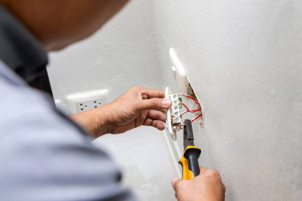 Best Ceiling Fan Installation Electrician  in Farmville, VA
